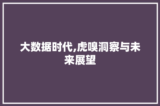 大数据时代,虎嗅洞察与未来展望