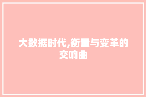 大数据时代,衡量与变革的交响曲