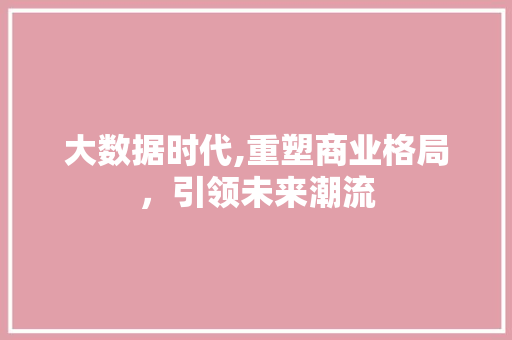 大数据时代,重塑商业格局，引领未来潮流