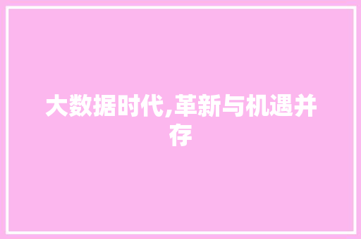 大数据时代,革新与机遇并存
