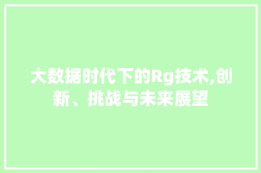 大数据时代下的Rg技术,创新、挑战与未来展望