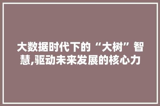 大数据时代下的“大树”智慧,驱动未来发展的核心力量