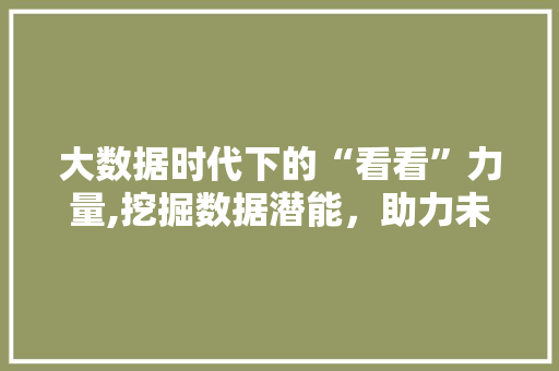 大数据时代下的“看看”力量,挖掘数据潜能，助力未来决策