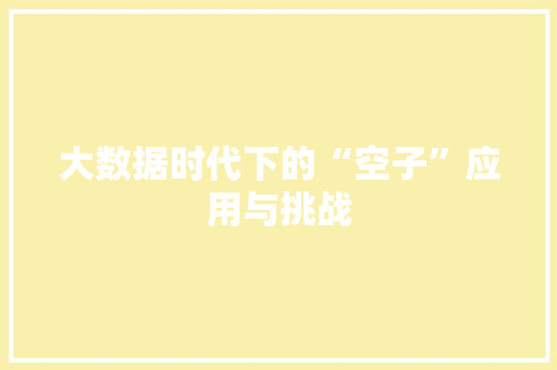 大数据时代下的“空子”应用与挑战