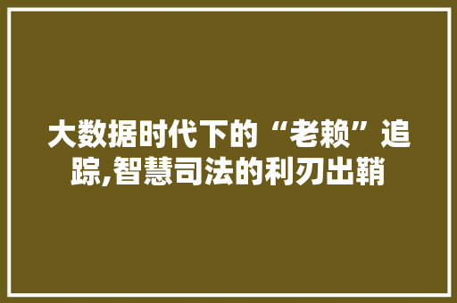 大数据时代下的“老赖”追踪,智慧司法的利刃出鞘