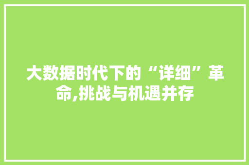 大数据时代下的“详细”革命,挑战与机遇并存
