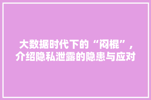 大数据时代下的“闷棍”,介绍隐私泄露的隐患与应对之路