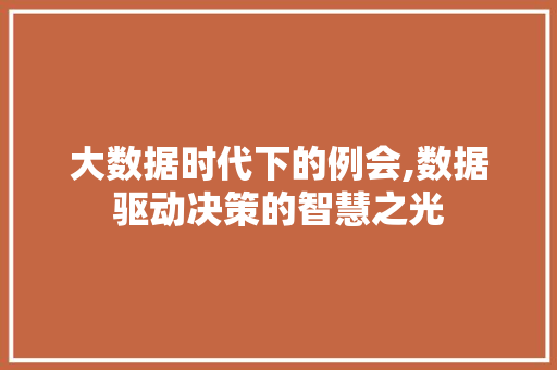 大数据时代下的例会,数据驱动决策的智慧之光
