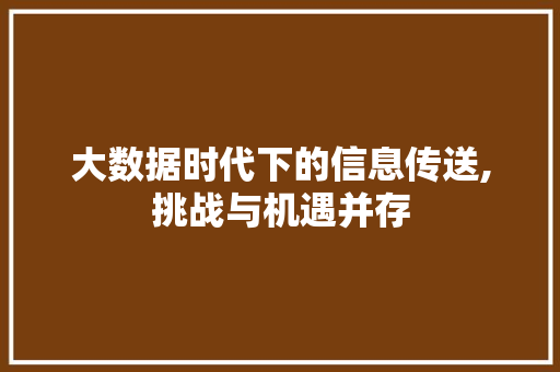 大数据时代下的信息传送,挑战与机遇并存