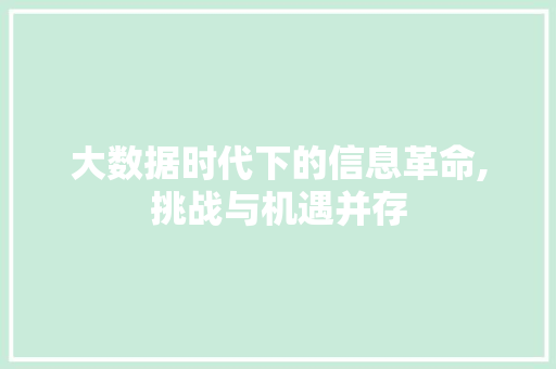 大数据时代下的信息革命,挑战与机遇并存