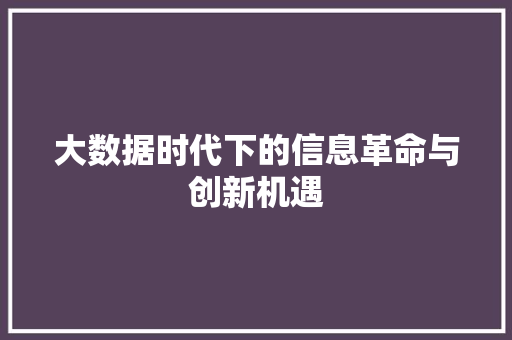 大数据时代下的信息革命与创新机遇