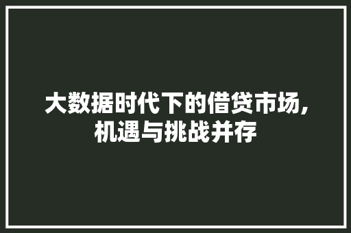 大数据时代下的借贷市场,机遇与挑战并存