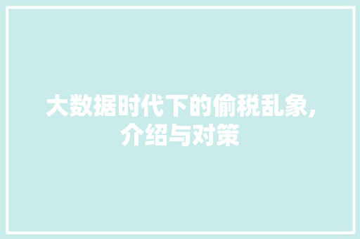 大数据时代下的偷税乱象,介绍与对策