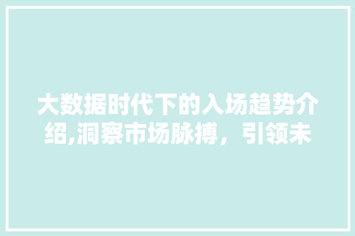 大数据时代下的入场趋势介绍,洞察市场脉搏，引领未来发展