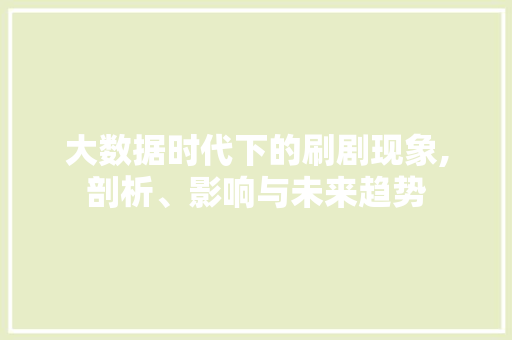 大数据时代下的刷剧现象,剖析、影响与未来趋势