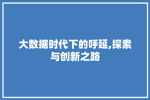 大数据时代下的呼延,探索与创新之路