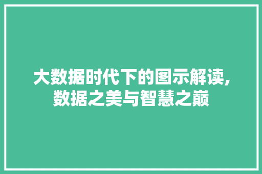 大数据时代下的图示解读,数据之美与智慧之巅