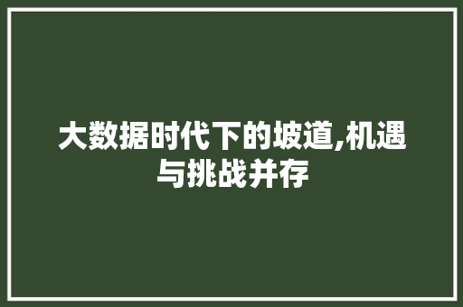 大数据时代下的坡道,机遇与挑战并存