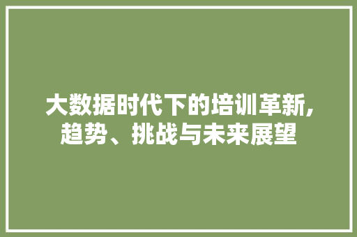 大数据时代下的培训革新,趋势、挑战与未来展望