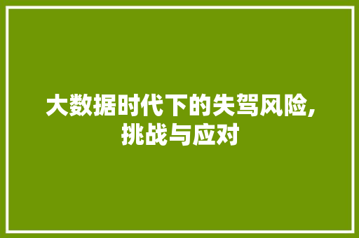 大数据时代下的失驾风险,挑战与应对
