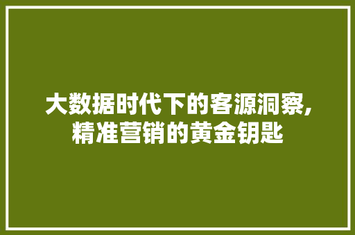 大数据时代下的客源洞察,精准营销的黄金钥匙