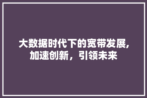 大数据时代下的宽带发展,加速创新，引领未来