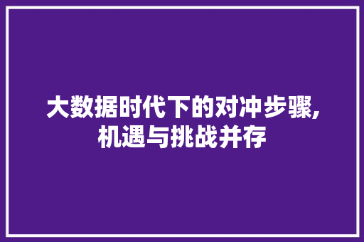 大数据时代下的对冲步骤,机遇与挑战并存