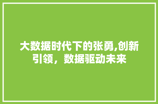 大数据时代下的张勇,创新引领，数据驱动未来