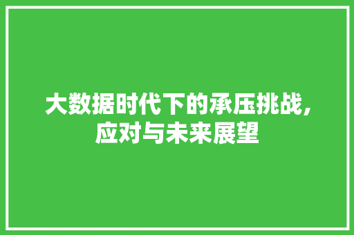 大数据时代下的承压挑战,应对与未来展望