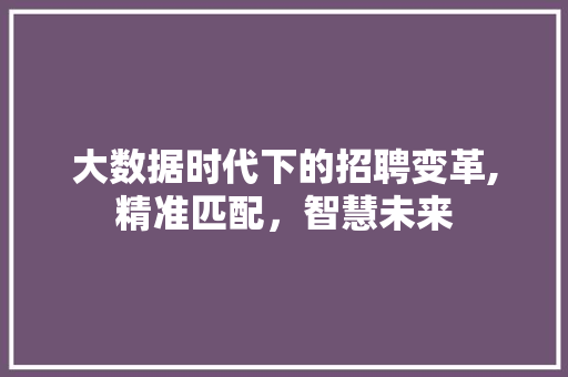 大数据时代下的招聘变革,精准匹配，智慧未来
