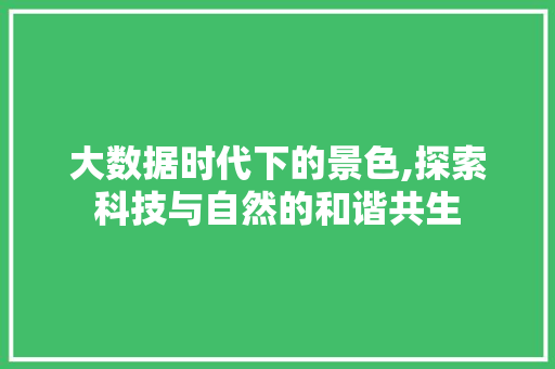 大数据时代下的景色,探索科技与自然的和谐共生