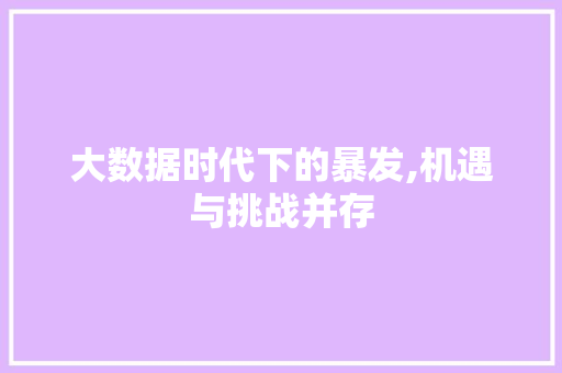 大数据时代下的暴发,机遇与挑战并存