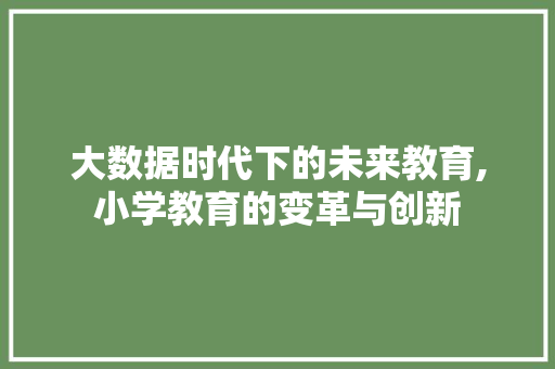 大数据时代下的未来教育,小学教育的变革与创新