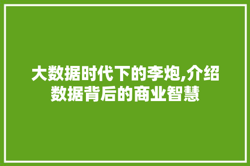 大数据时代下的李炮,介绍数据背后的商业智慧