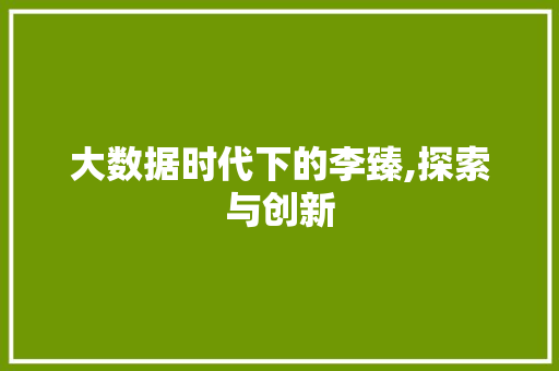 大数据时代下的李臻,探索与创新