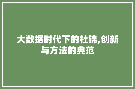 大数据时代下的杜锦,创新与方法的典范