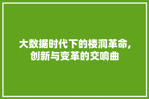 大数据时代下的楼洞革命,创新与变革的交响曲