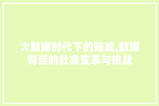 大数据时代下的殇减,数据背后的社会变革与挑战