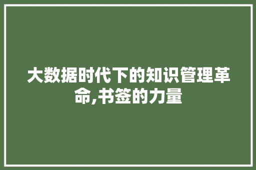 大数据时代下的知识管理革命,书签的力量