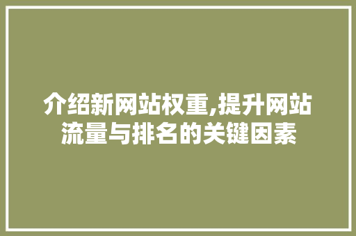 介绍新网站权重,提升网站流量与排名的关键因素