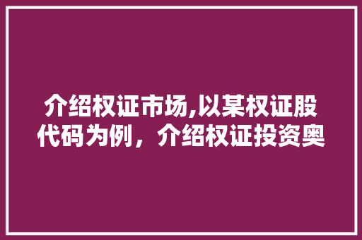 介绍权证市场,以某权证股代码为例，介绍权证投资奥秘