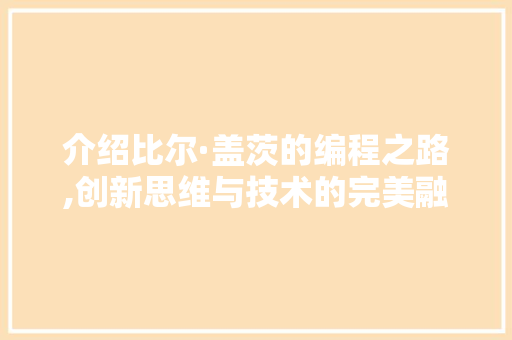 介绍比尔·盖茨的编程之路,创新思维与技术的完美融合