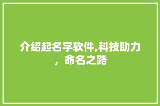 介绍起名字软件,科技助力，命名之路