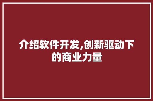 介绍软件开发,创新驱动下的商业力量