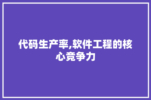 代码生产率,软件工程的核心竞争力