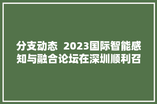 分支动态  2023国际智能感知与融合论坛在深圳顺利召开