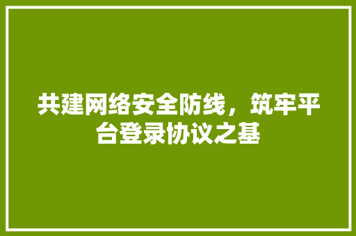 共建网络安全防线，筑牢平台登录协议之基