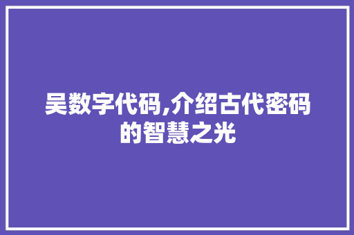 吴数字代码,介绍古代密码的智慧之光