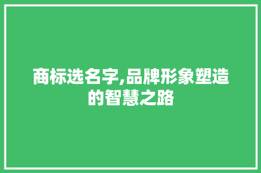 商标选名字,品牌形象塑造的智慧之路