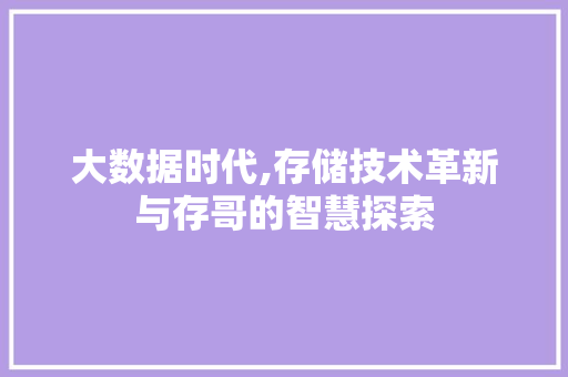 大数据时代,存储技术革新与存哥的智慧探索